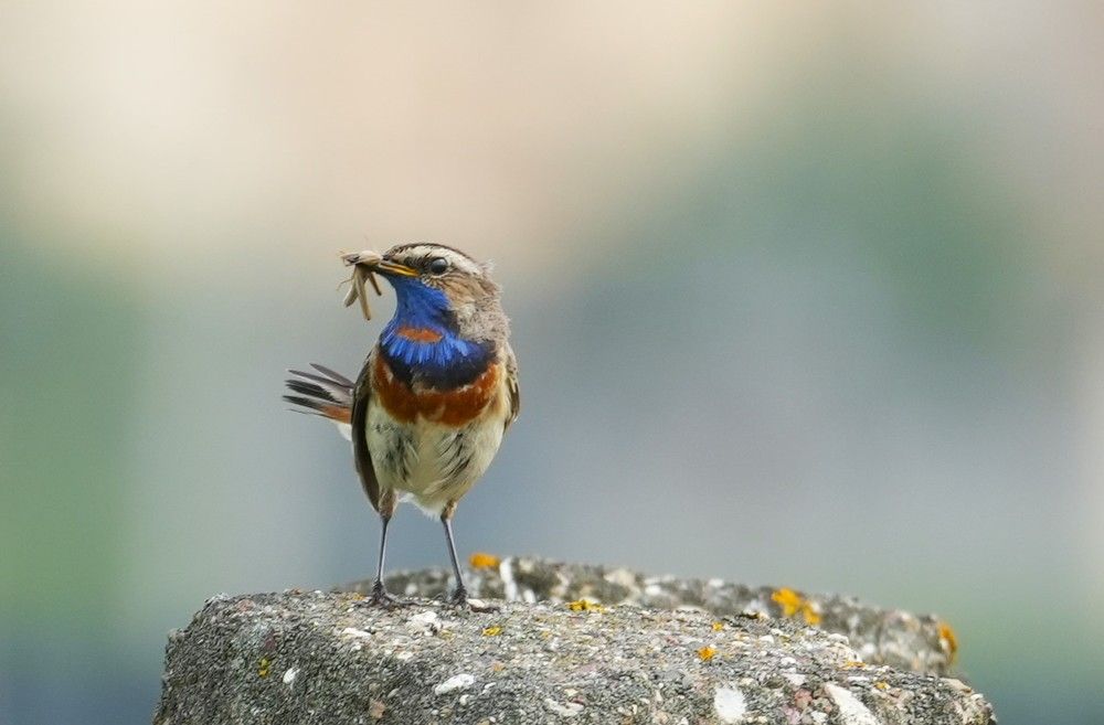 Photograph by Михаил Трусов