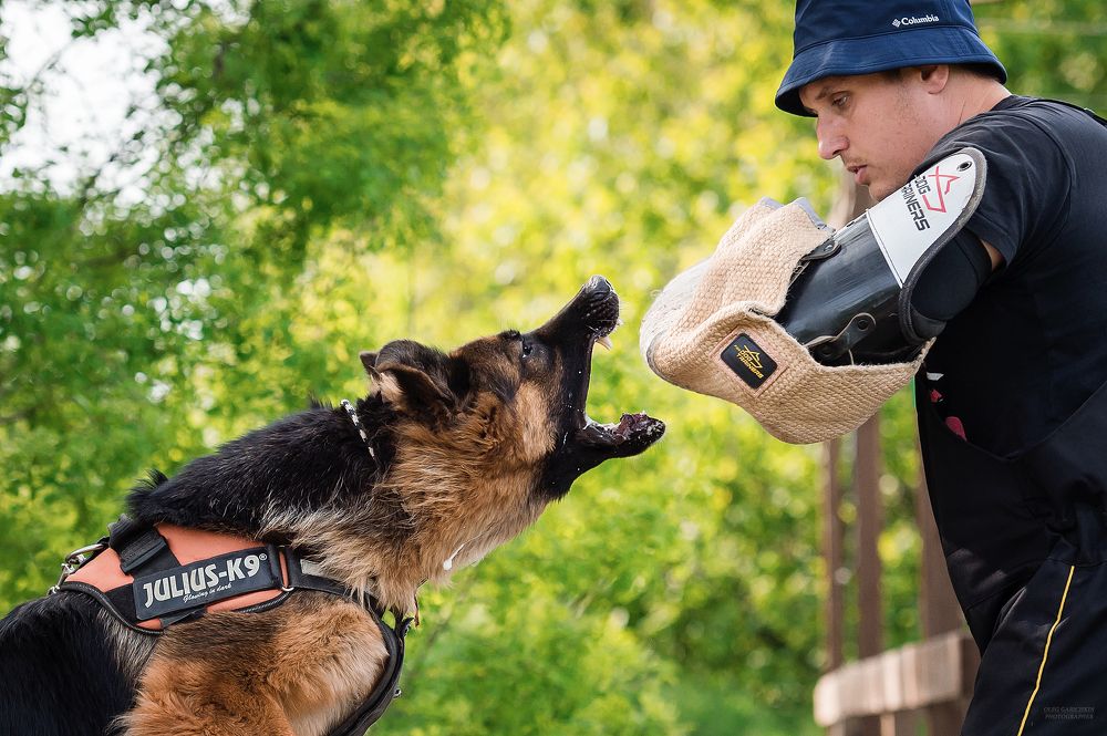 Photograph by Олег Гаричкин