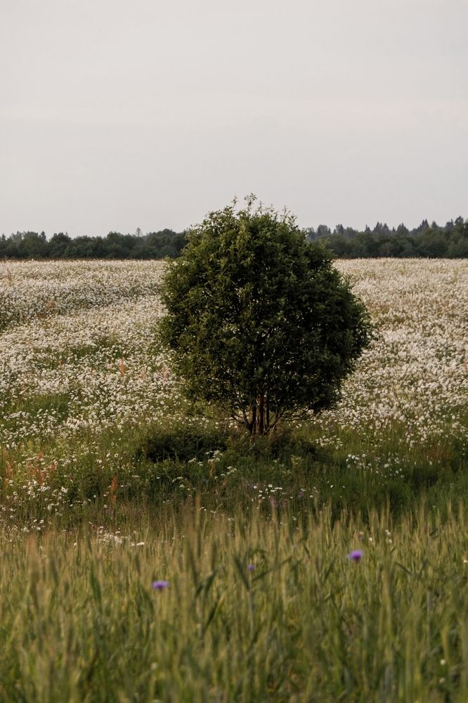 Photograph by Сергей Данилов