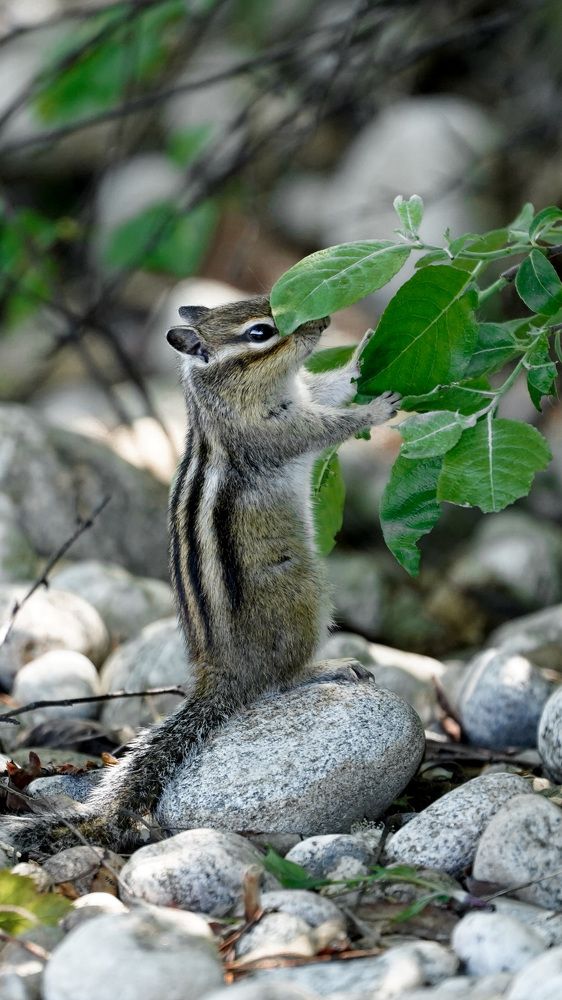 Photograph by Юлия Иванова