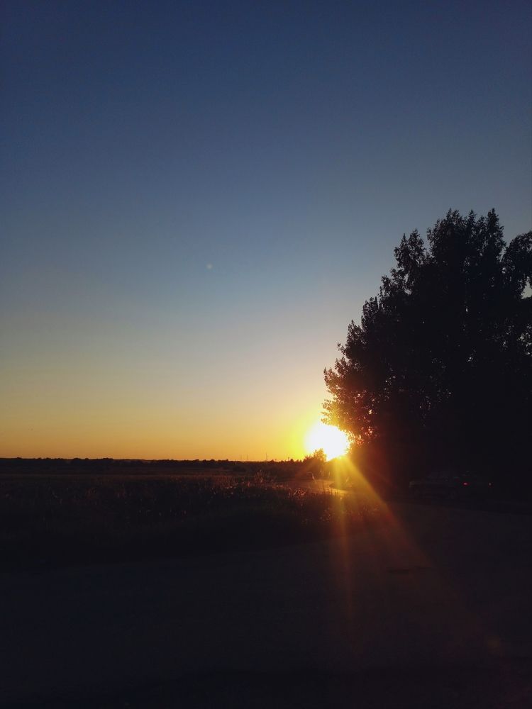 Photograph by Елена Щербакова