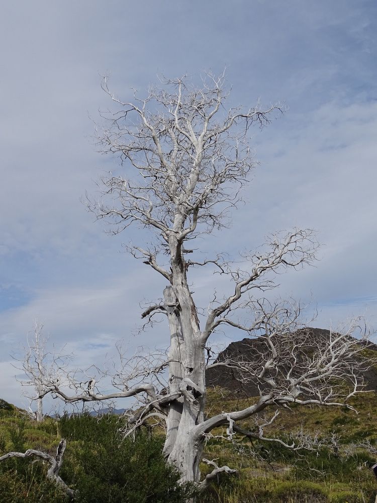 Photograph by MAKSIM MARKOV