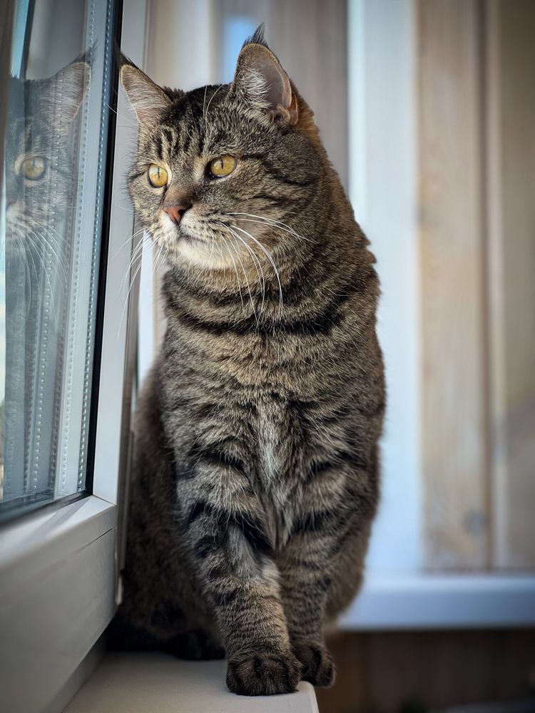 Photograph by Анжелика Александрова