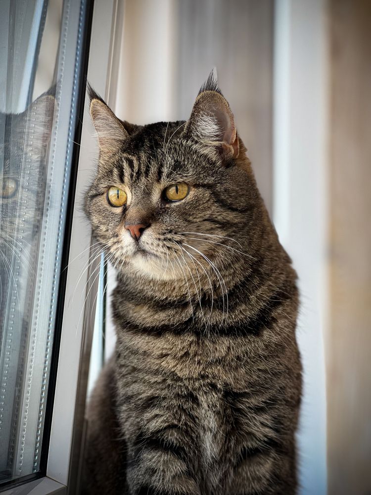 Photograph by Анжелика Александрова