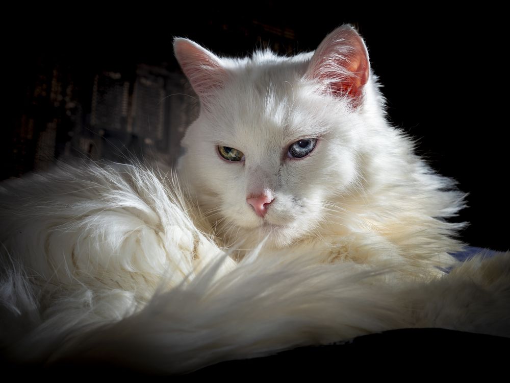 Photograph by Руслан Ибрагимов