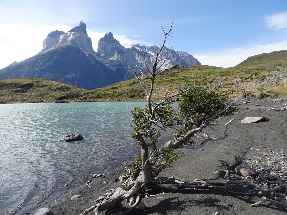 Photograph by ELVIRA LUNEVA