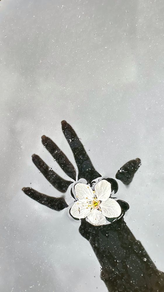 Фотография автора Елена Декерт