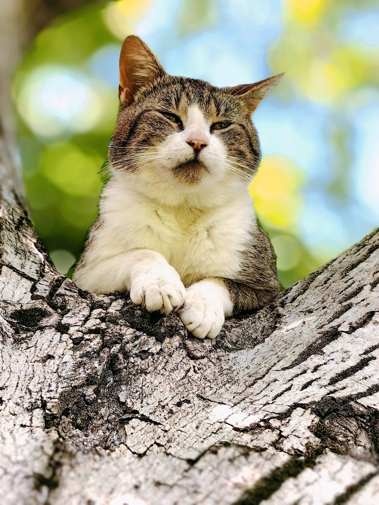 Photograph by Alen Brkić