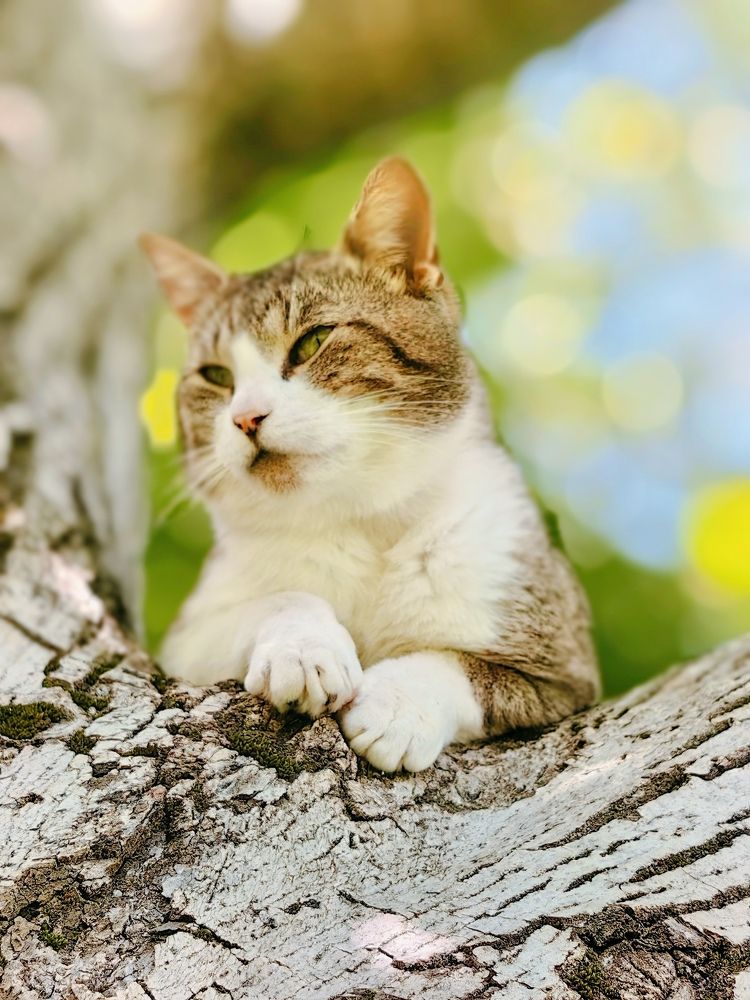 Photograph by Alen Brkić