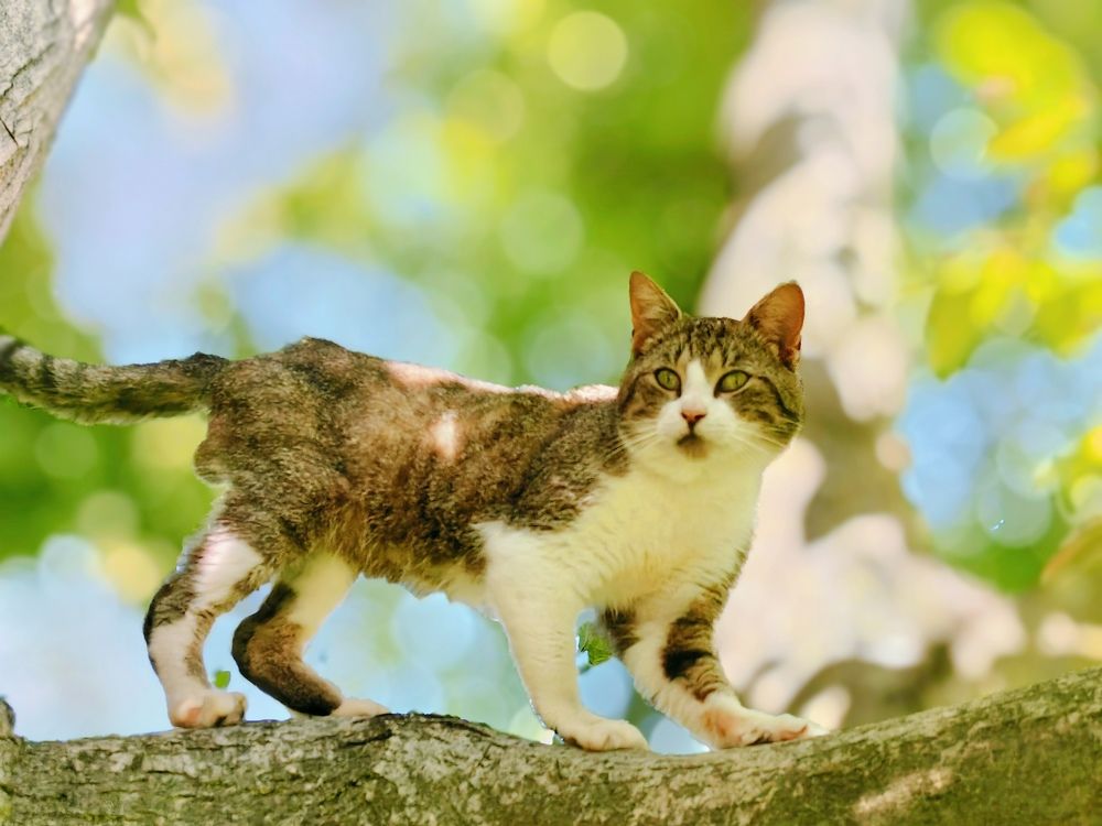 Photograph by Alen Brkić