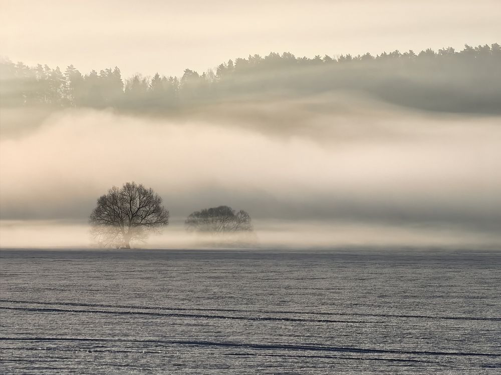 Photograph by Алексей Романов