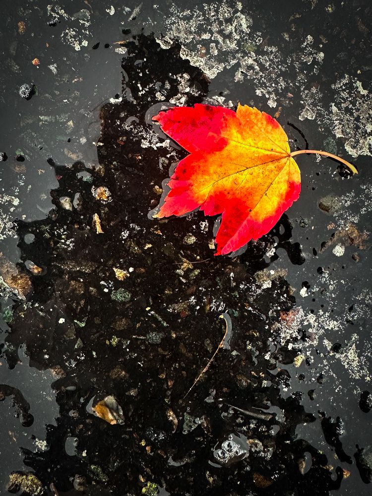 Photograph by Анастасия Щербина