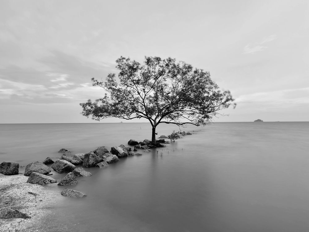 Photograph by Siew Chee chung