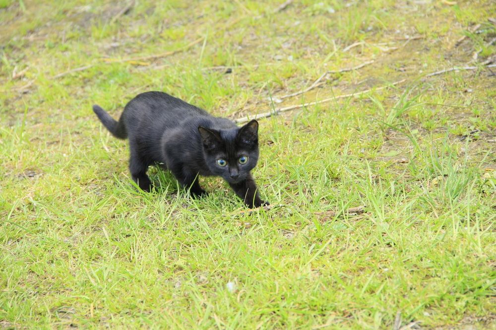 Photograph by Мария