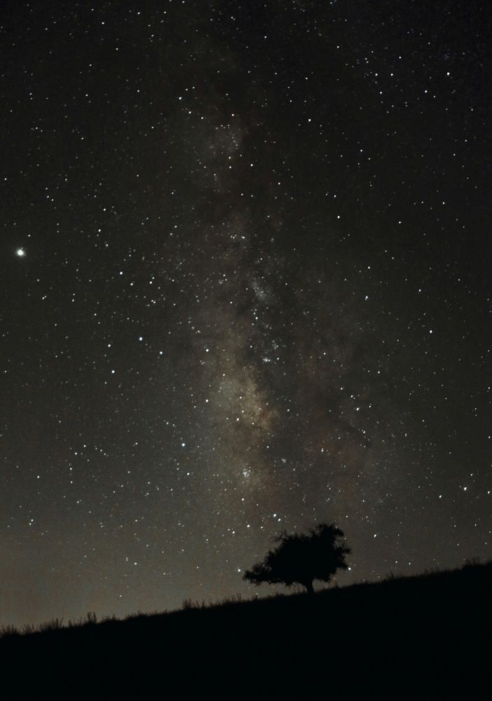 Photograph by Hamed farahpour