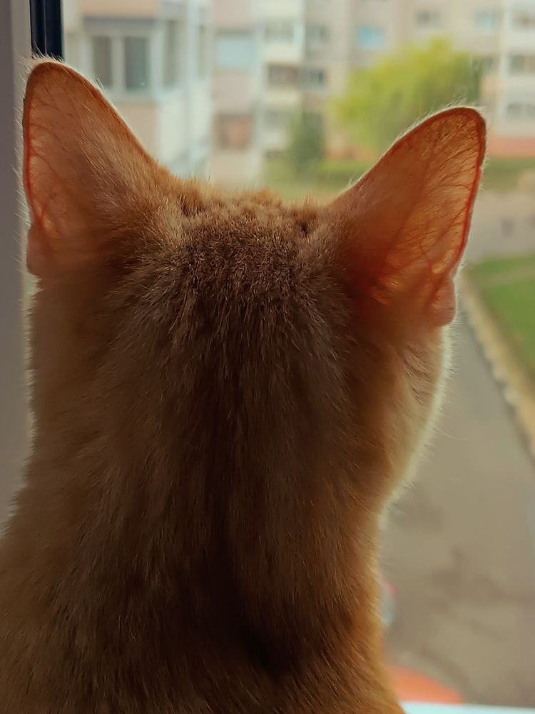 Photograph by Сидорова Ирина