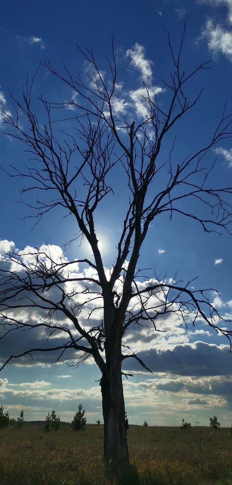 Photograph by Svetlana Storozheva