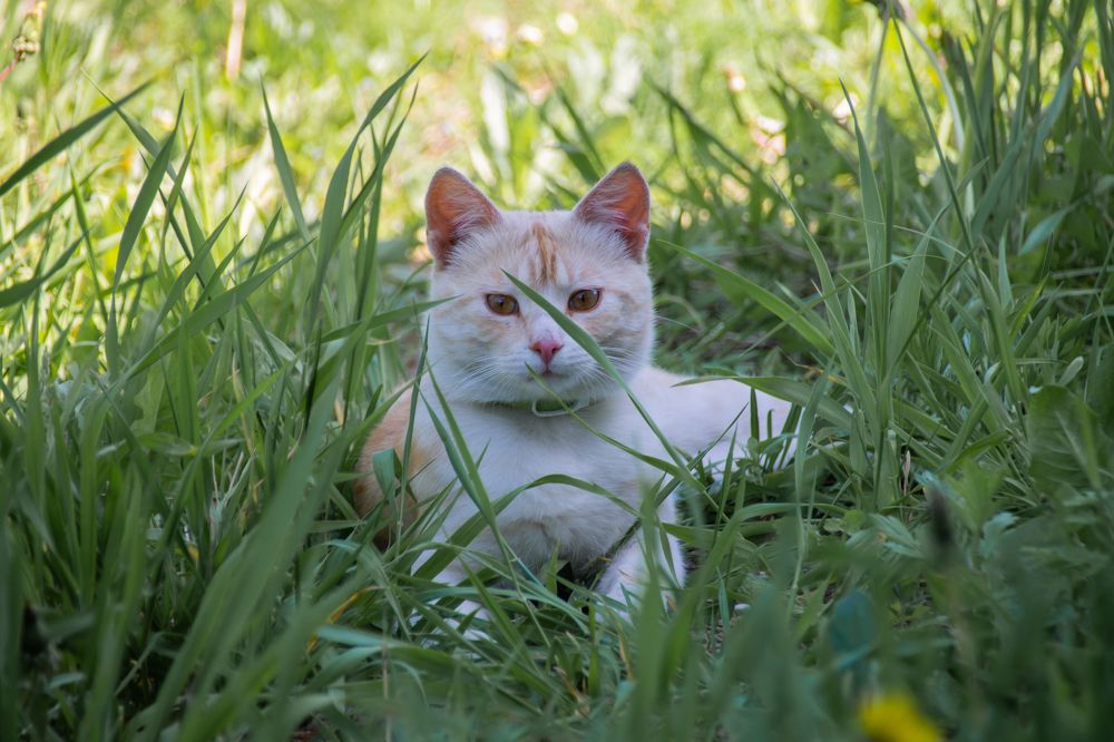 Photograph by Roman Sitdikov