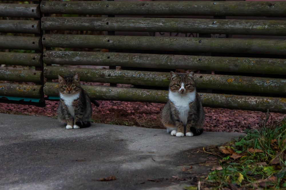 Photograph by Roman Sitdikov