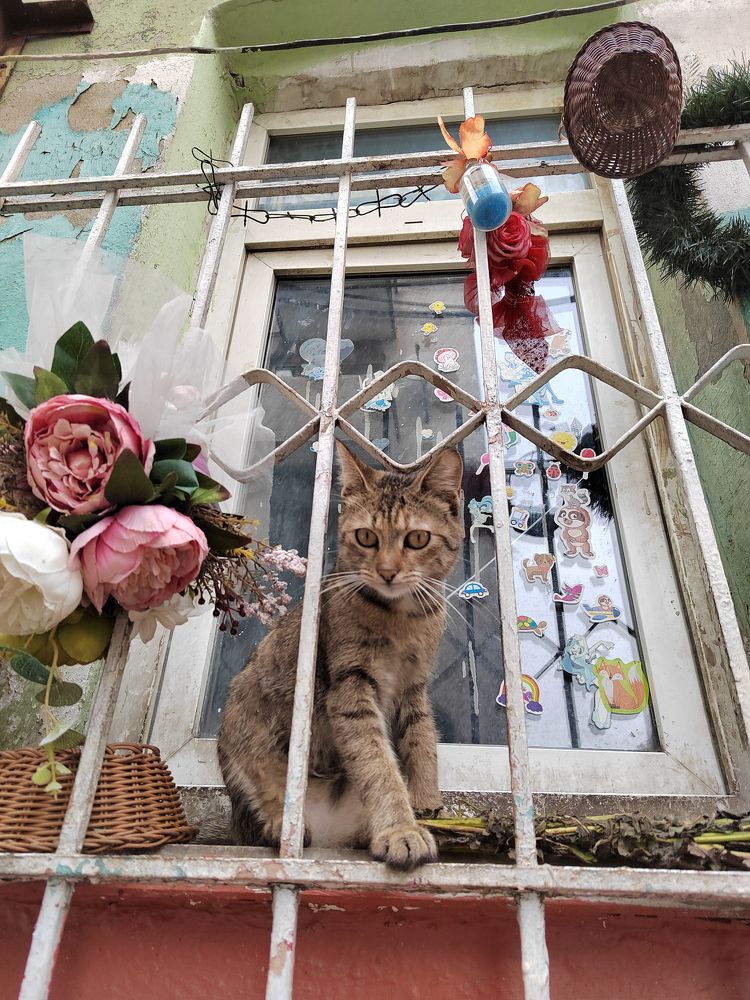 Photograph by Марина Нилова