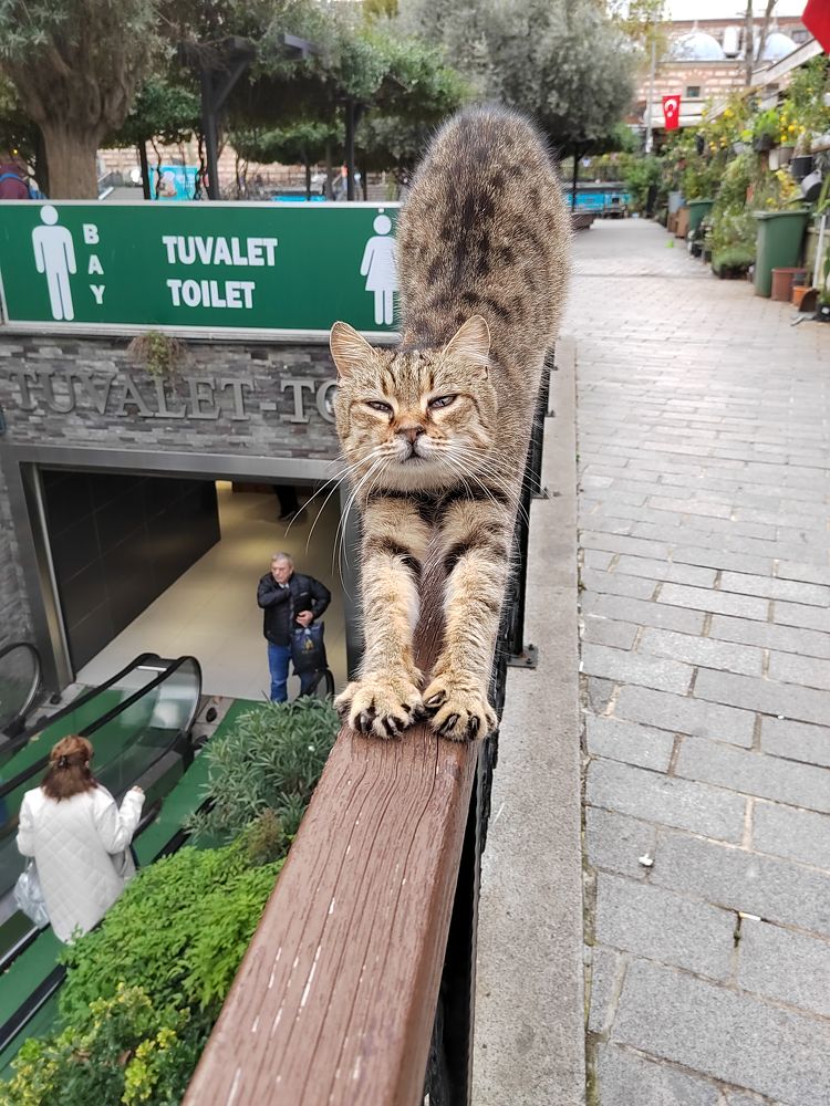 Photograph by Марина Нилова