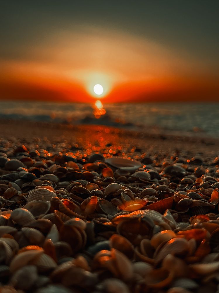 Фотография автора Павел Чанышев