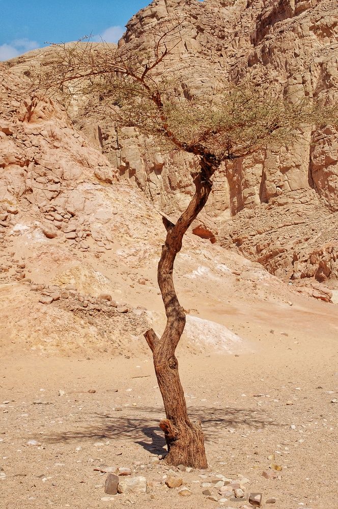 Photograph by Даниил Пузаков