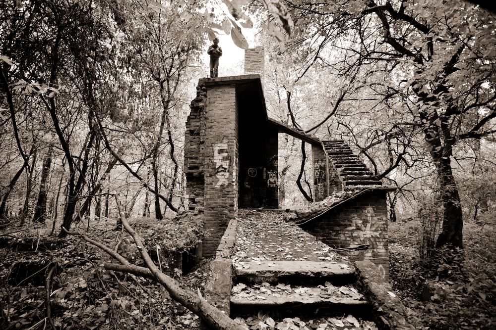 Photograph by Olga Mendosa