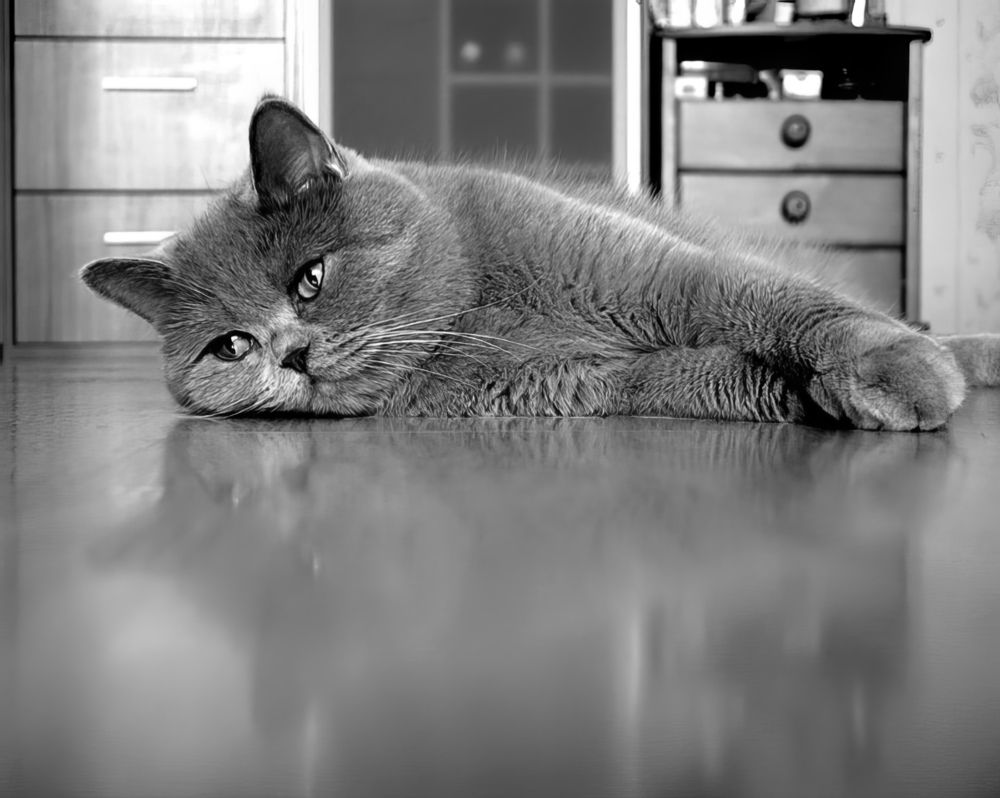 Photograph by Волынский Виктор