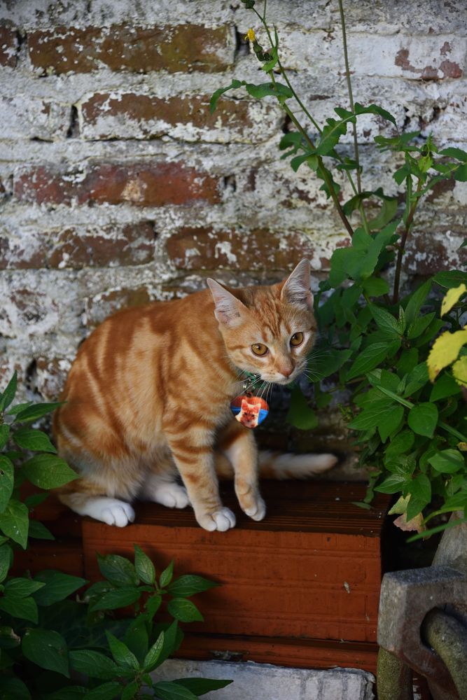 Photograph by Ксения Шакирова