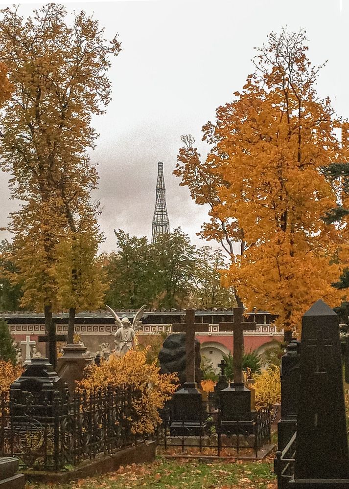 Photograph by Vladimir  Komarov