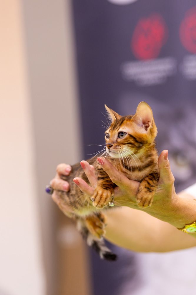 Photograph by Яна Матвеева