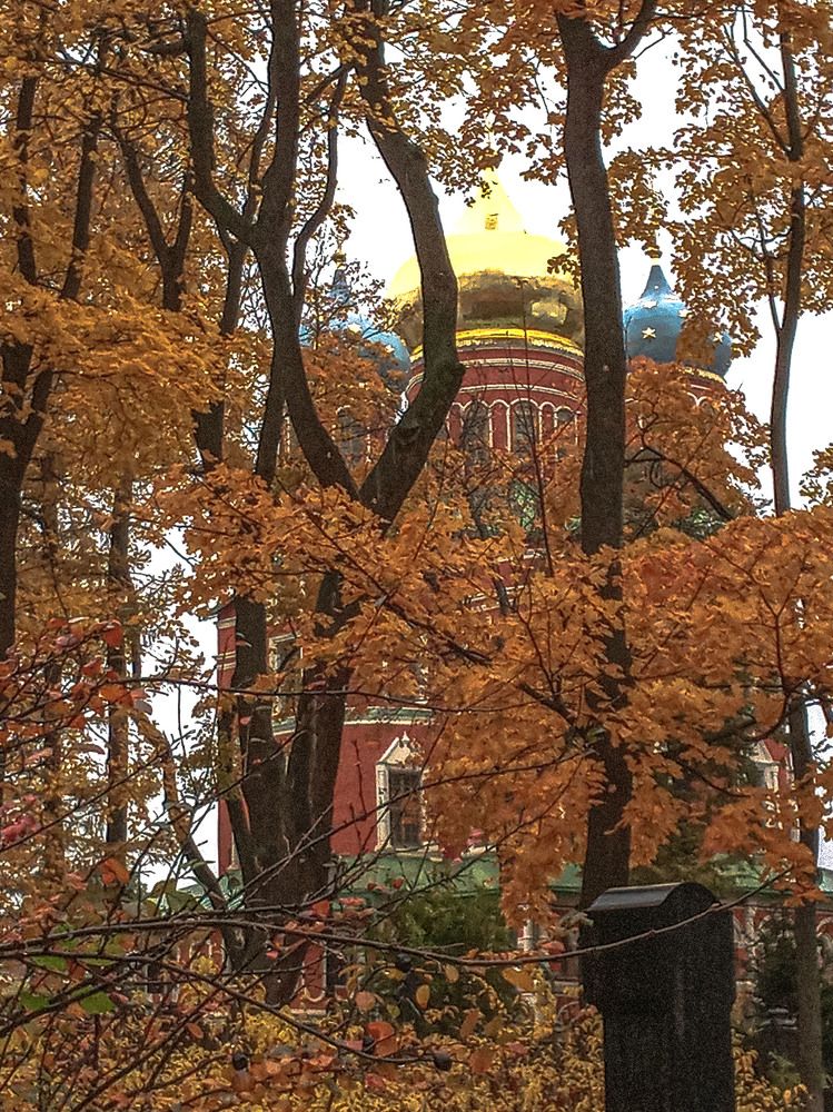 Photograph by Vladimir  Komarov