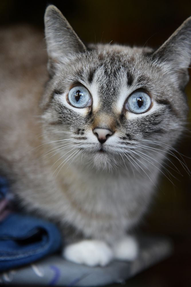 Photograph by Ксения Шакирова