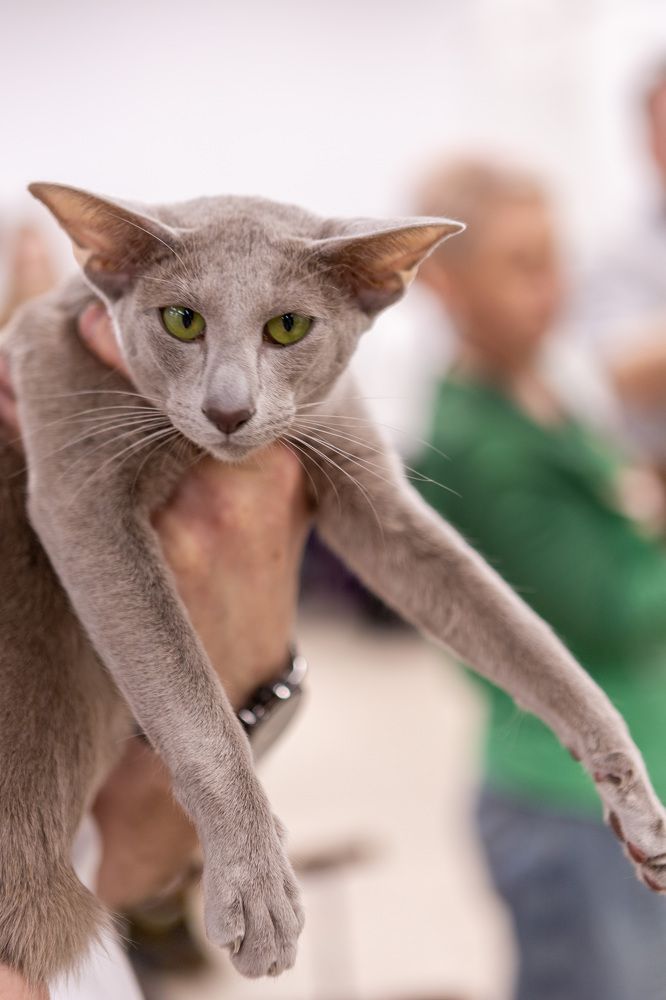 Photograph by Яна Матвеева