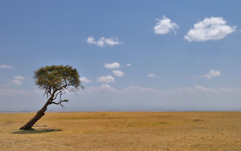 Photograph by Алексей Романов