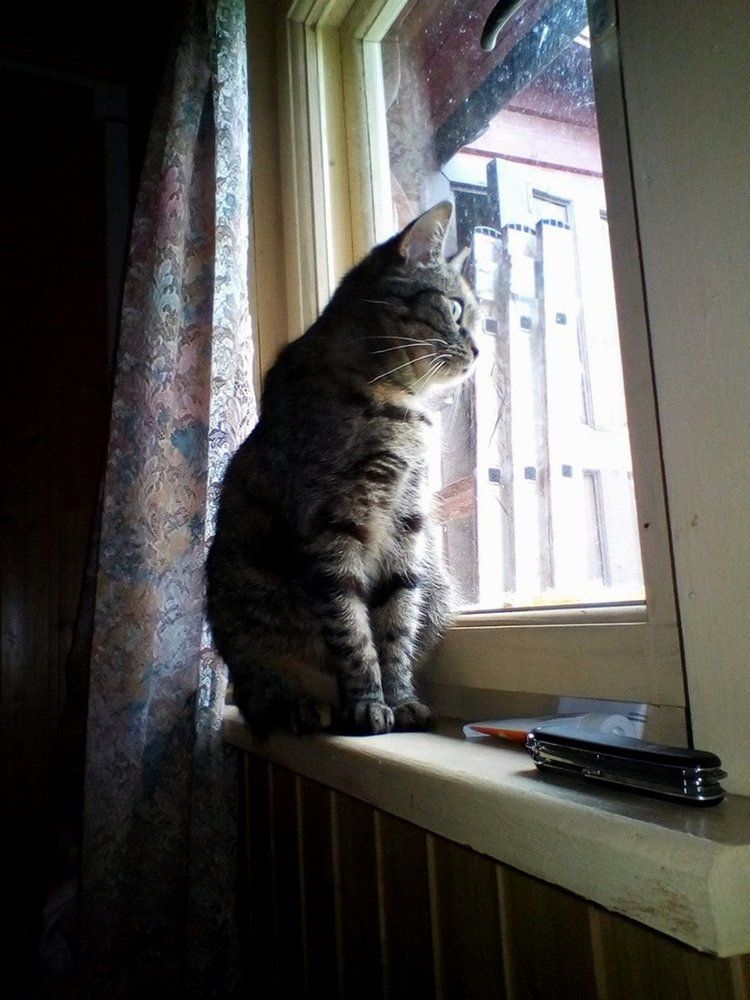 Photograph by Виктор Полуэктов