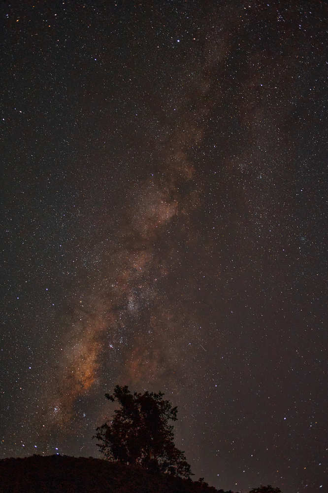 Photograph by Luis Manuel Jiménez Tabares