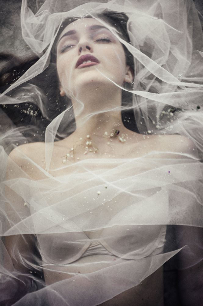 Photo #10705771