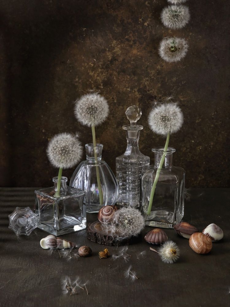 Photograph by Angelica Medvedeva