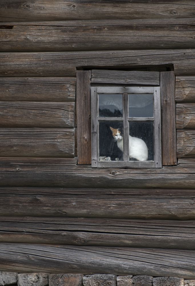 Photograph by Светлана Краюшкина