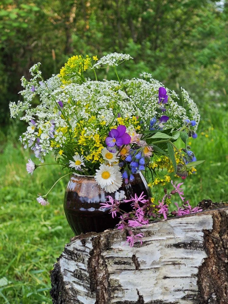 Photograph by Надежда Кангина