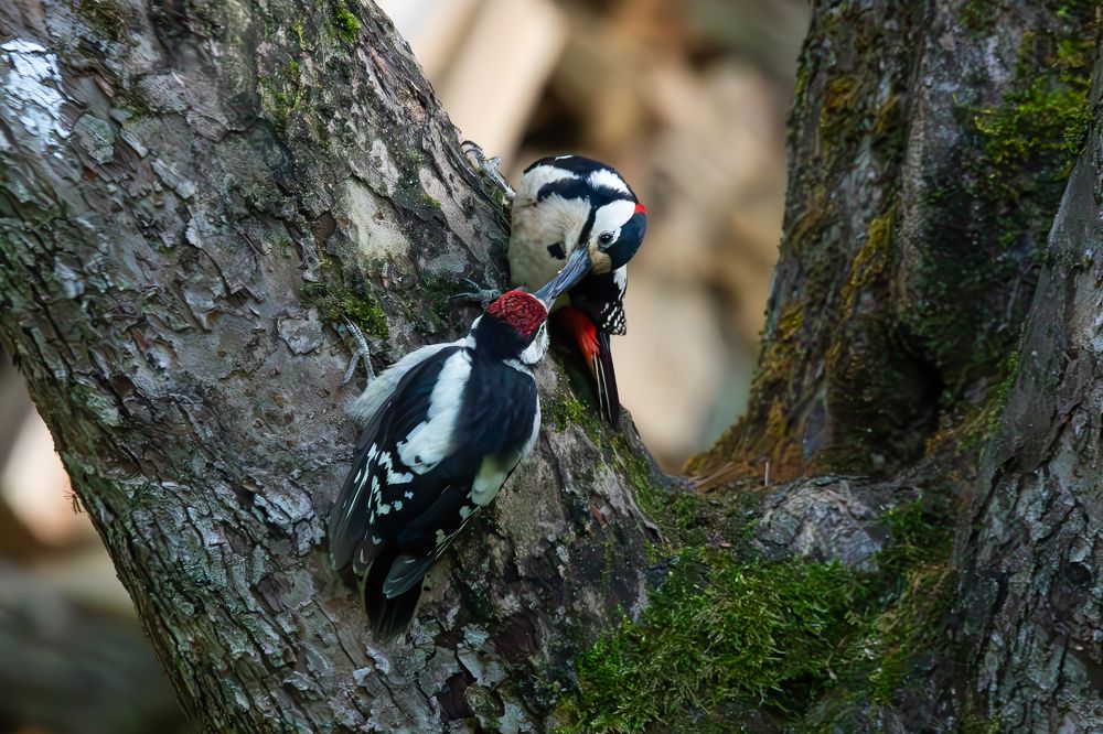 Photograph by Алексей