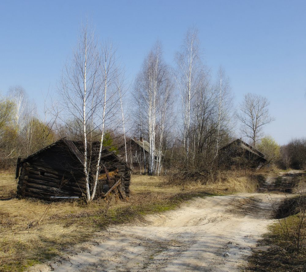 Photograph by Фёдор Куракин