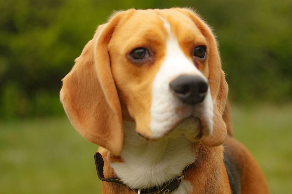 Photograph by Екатерина Козловская