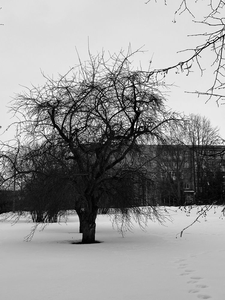 Photograph by Диана Бадеева