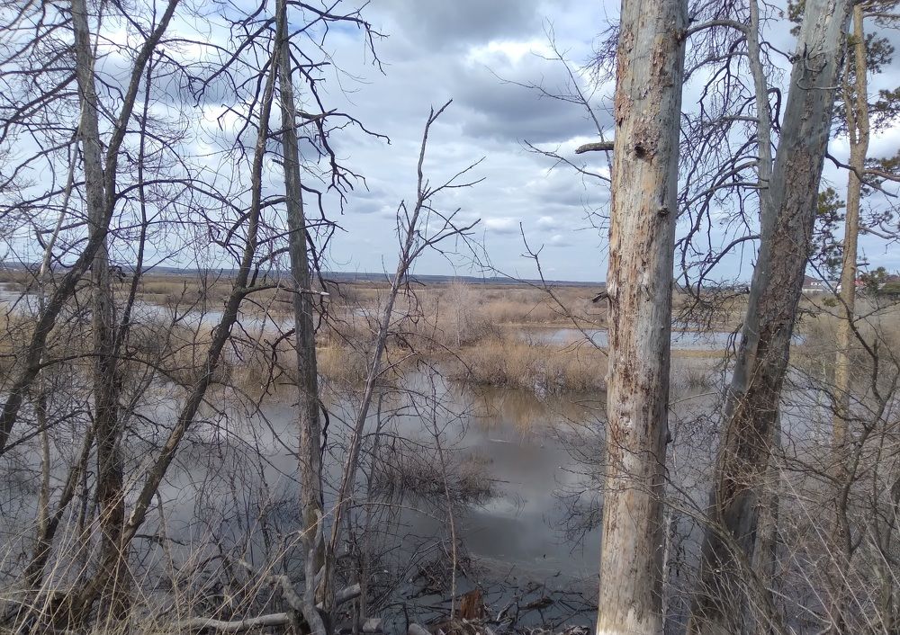 Photograph by Лида