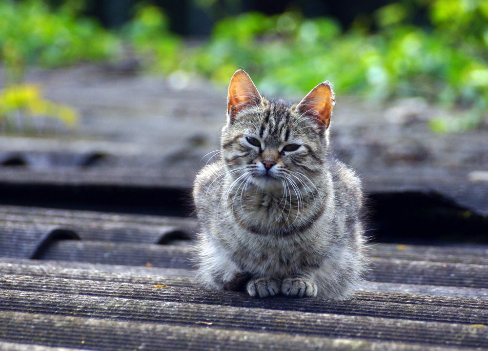 Photograph by Danyliuk Ruslan