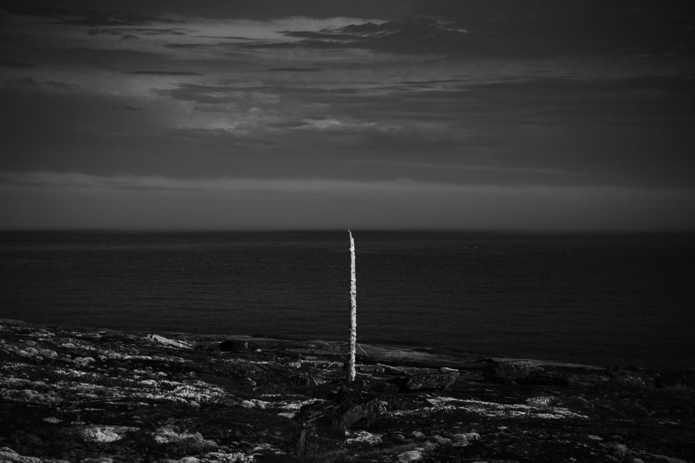 Photograph by Марлен Маан