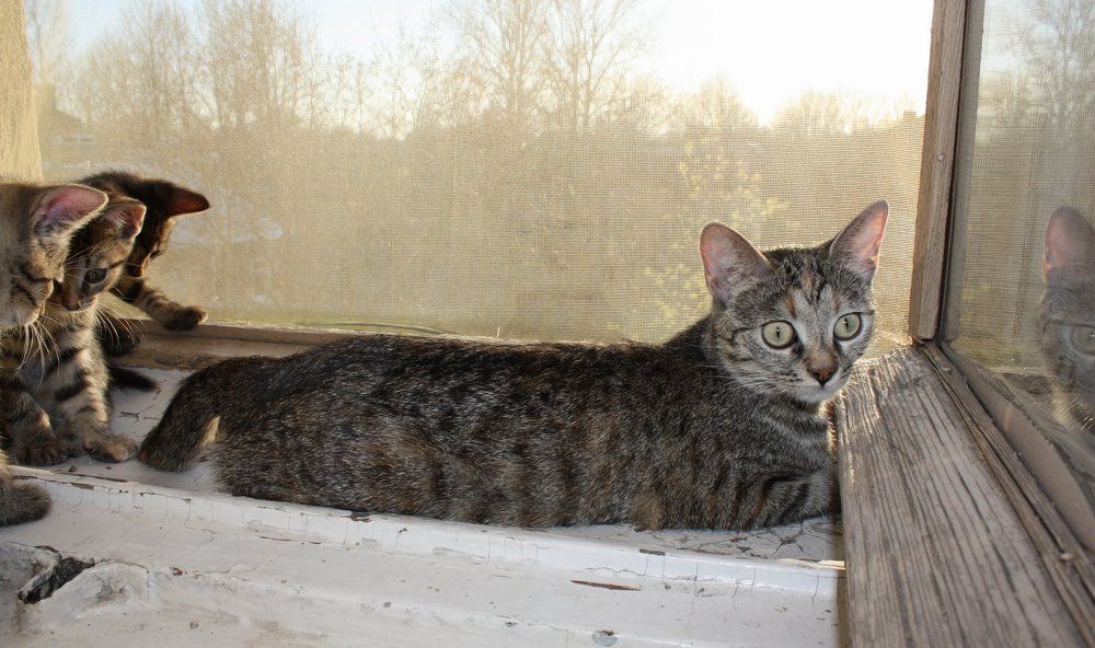 Photograph by Виктор Полуэктов